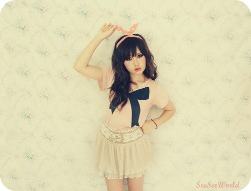 Vintage Chiffon Pleated Skirt